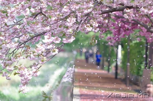 Ϊϲ���Լ����˶�����