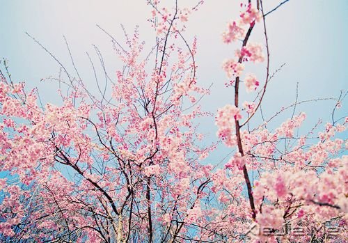 ��Ӧ��ֹͣ�ڴ���9����