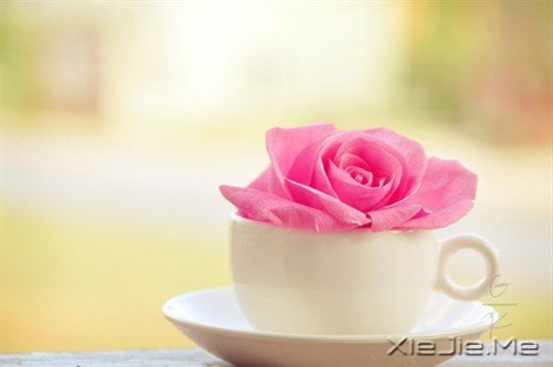 ������¼��������Ҫ�ģ�ֻ��һ�ž���������