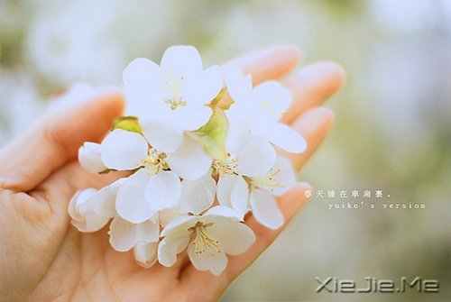 ѧ����ʱ����