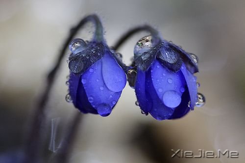 30������֮������֮�� (1)