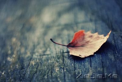 ֻ��������ڲ���֧���� (4)