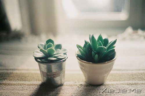 ѧ��ı��Լ�